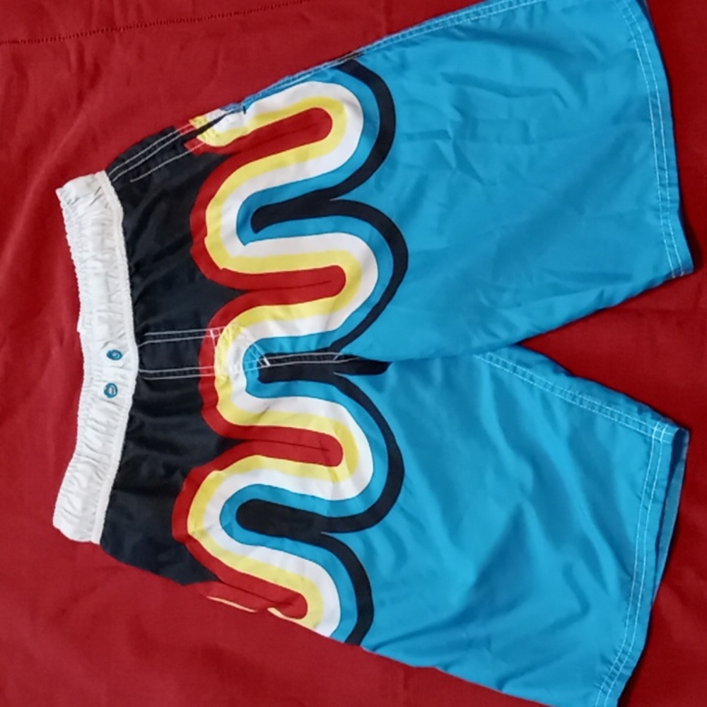Cat & Jack swimming trunks, boys XL (16)